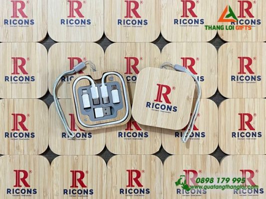 Hộp Cáp Sạc Đa Năng Gỗ – In Logo Doanh Nghiệp RICONS 