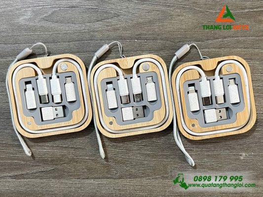 Hộp Cáp Sạc Đa Năng Gỗ – In Logo Doanh Nghiệp RICONS