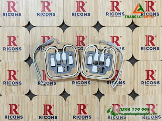 Hộp Cáp Sạc Đa Năng Gỗ – In Logo Doanh Nghiệp RICONS