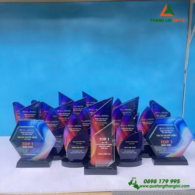 Cúp Pha Lê - In Logo Doanh Nghiệp Làm Qùa Tặng