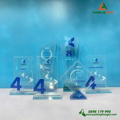 CPT 06 - Cúp Pha Lê Quà Tặng Cao Cấp - Vinh Danh Doanh Nghiệp Xuất Sắc 