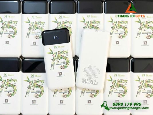 Pin Sạc Dự Phòng Hoco 10.000mAh - In Logo Doanh Nghiệp BAMBOO