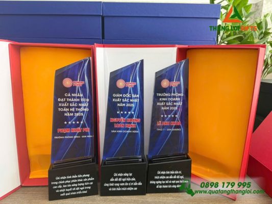 CPT 12 - Kỷ Niệm Chương - Biểu Tượng Tôn Vinh Thành Tích Xuất Sắc