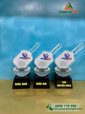 CPT 10 - Cup Pickleball - Qùa Tặng Gắn Kết Doanh Nghiệp Đẳng Cấp