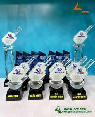 CPT 10 - Cup Pickleball - Qùa Tặng Gắn Kết Doanh Nghiệp Đẳng Cấp