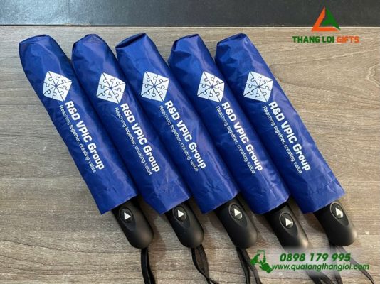 Ô Dù Cầm Tay Màu Xanh – In Logo Doanh Nghiệp R&D VPIC Group
