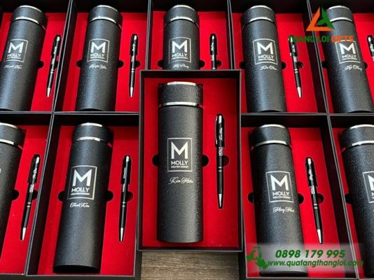 Combo Quà Tặng (Bình+Bút) - In Khắc Logo Doanh Nghiệp MOLLY