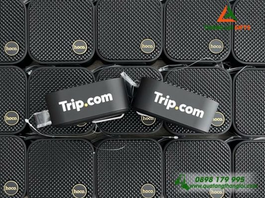 Loa Bluetooth Hoco Màu Đen - In Logo Doanh Nghiệp Trip.com