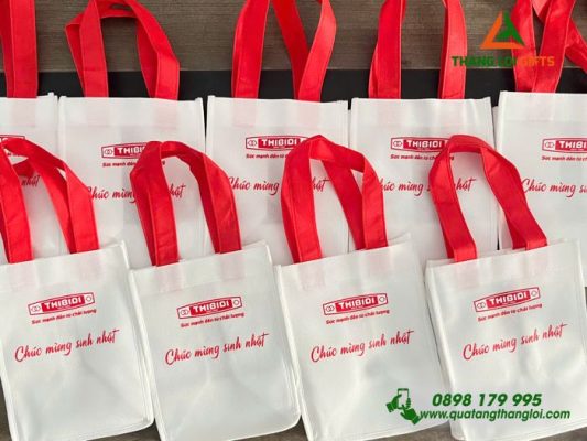 Túi Vải Không Dệt Mini – In Logo Doanh Nghiệp THIBIDI