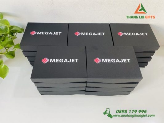 Combo Quà Tặng (Hộp Namecard+Usb+Bút) In Khắc Logo Doanh Nghiệp MEGAJET