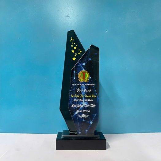 CPT 08 - Kỷ Niệm Chương Ngôi Sao - Vinh Danh Cá Nhân, Tập Thể Xuất Sắc